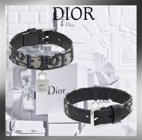 dior dog collar pink|dior dog carrier.